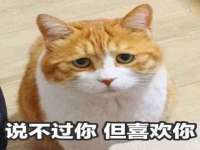 东莞市复鼎织造实业有限公司