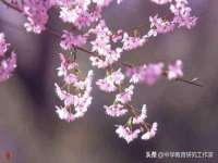东莞市复鼎织造实业有限公司
