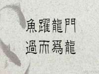 东莞市复鼎织造实业有限公司