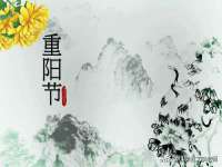东莞市复鼎织造实业有限公司