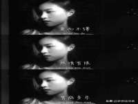 东莞市复鼎织造实业有限公司