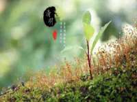 东莞市复鼎织造实业有限公司