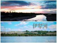 东莞市复鼎织造实业有限公司