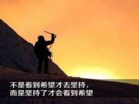 东莞市复鼎织造实业有限公司