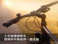 东莞市复鼎织造实业有限公司