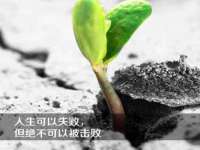 东莞市复鼎织造实业有限公司