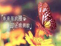 东莞市复鼎织造实业有限公司