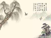 东莞市复鼎织造实业有限公司