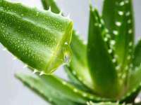东莞市复鼎织造实业有限公司