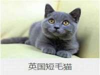 东莞市复鼎织造实业有限公司