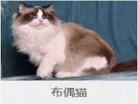 东莞市复鼎织造实业有限公司
