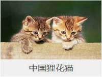 东莞市复鼎织造实业有限公司