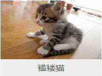 东莞市复鼎织造实业有限公司