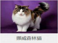 东莞市复鼎织造实业有限公司