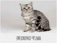 东莞市复鼎织造实业有限公司