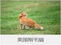 东莞市复鼎织造实业有限公司