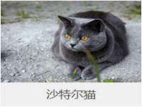 东莞市复鼎织造实业有限公司