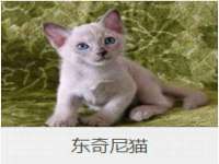 东莞市复鼎织造实业有限公司