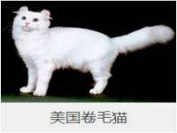 东莞市复鼎织造实业有限公司