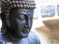 东莞市复鼎织造实业有限公司