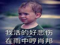 东莞市复鼎织造实业有限公司