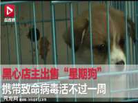 东莞市复鼎织造实业有限公司