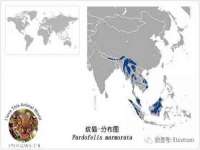 东莞市复鼎织造实业有限公司