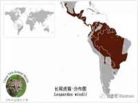 东莞市复鼎织造实业有限公司