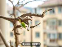 东莞市复鼎织造实业有限公司