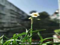 东莞市复鼎织造实业有限公司