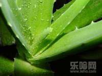 东莞市复鼎织造实业有限公司