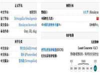 东莞市复鼎织造实业有限公司