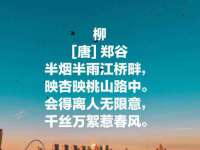 东莞市复鼎织造实业有限公司