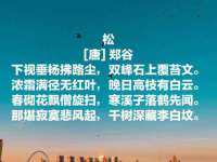 东莞市复鼎织造实业有限公司