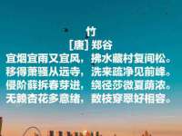 东莞市复鼎织造实业有限公司