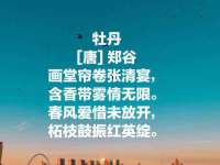 东莞市复鼎织造实业有限公司