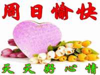 东莞市复鼎织造实业有限公司