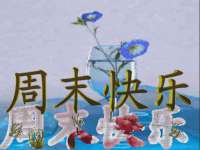 东莞市复鼎织造实业有限公司