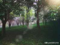 东莞市复鼎织造实业有限公司