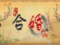 东莞市复鼎织造实业有限公司