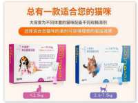东莞市复鼎织造实业有限公司
