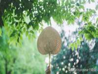 东莞市复鼎织造实业有限公司