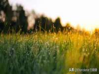 东莞市复鼎织造实业有限公司