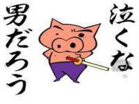 东莞市复鼎织造实业有限公司