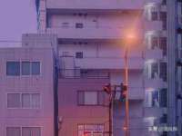 东莞市复鼎织造实业有限公司