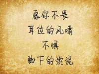 东莞市复鼎织造实业有限公司