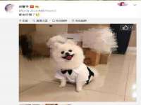 东莞市复鼎织造实业有限公司