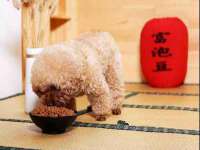东莞市复鼎织造实业有限公司