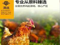 东莞市复鼎织造实业有限公司