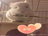 东莞市复鼎织造实业有限公司